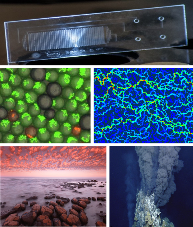 Next generation microfluidic platforms - PEPR Origins