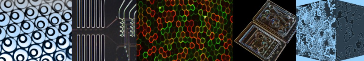  Ecole scientifique de Microfluidique 